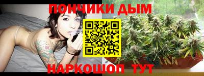 амф Новокубанск