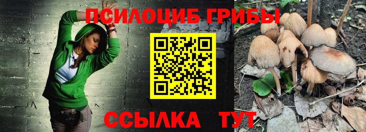 Псилоцибиновые грибы GOLDEN TEACHER  Вход с VPN  Усинск  Галлюциногенные грибы Magic Shrooms 